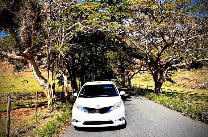 Private Transfer Fajardo or Ceiba to San Juan Airport - The main risk: a missed vehicle assignment