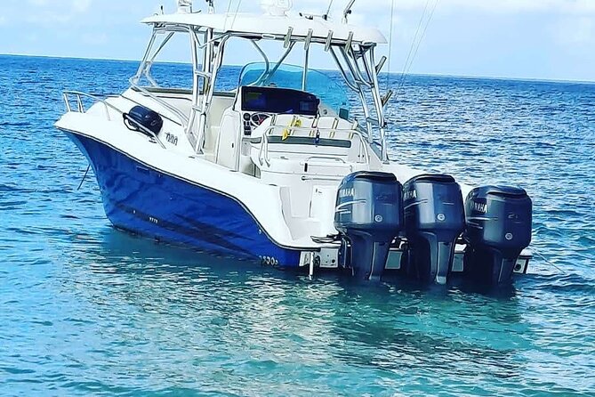 Private Trip to Cayo Icacos Island - Who will get the most from this trip