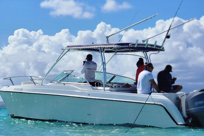 Public or Private Boat Trip to Icacos & Palomino - Is $1,300 a fair price for six people?