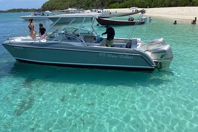 Public or Private Boat Trip to Icacos & Palomino - Palomino Island for a more celebratory day