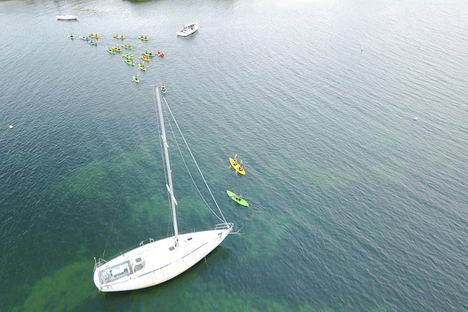 Puerto Rico Bio Bay Kayak Adventure Tour - What happens once you reach Laguna Grande