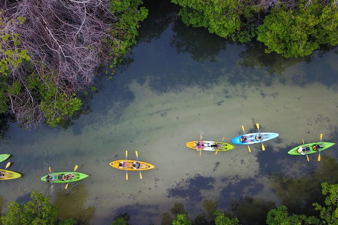 Puerto Rico Bio Bay Kayak Adventure Tour - Bioluminescence, moonlight, and realistic expectations