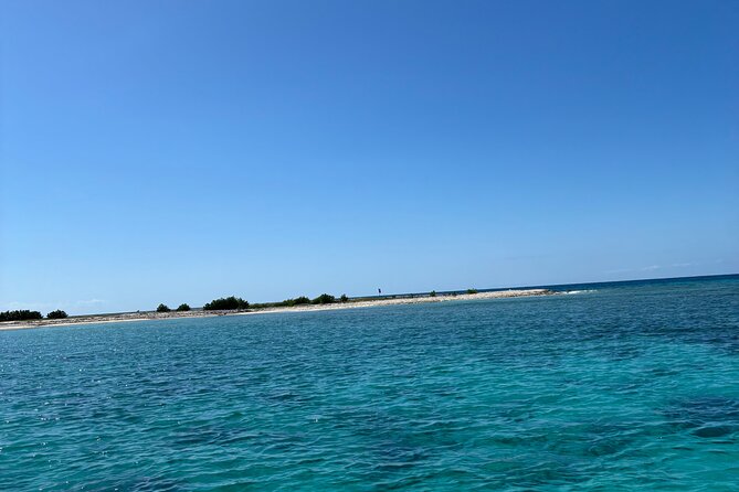 Puerto Rico: Bio Bay Swim and Sunset Charter or Late night tour - At a glance