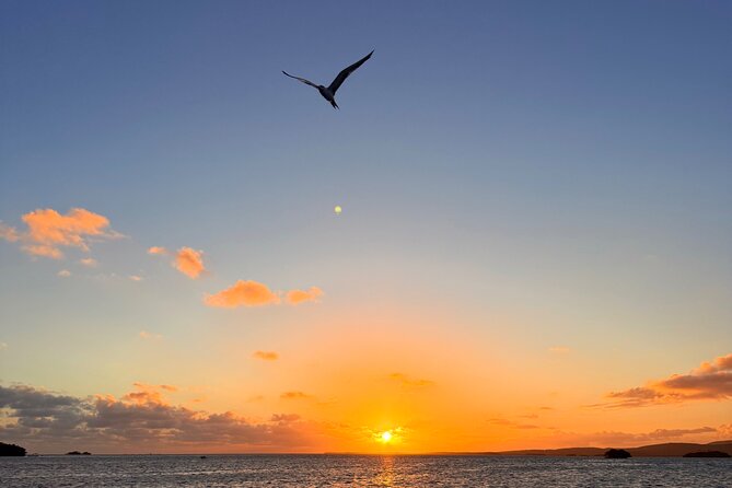 Puerto Rico: Bio Bay Swim and Sunset Charter or Late night tour - Why swimming beats simply looking