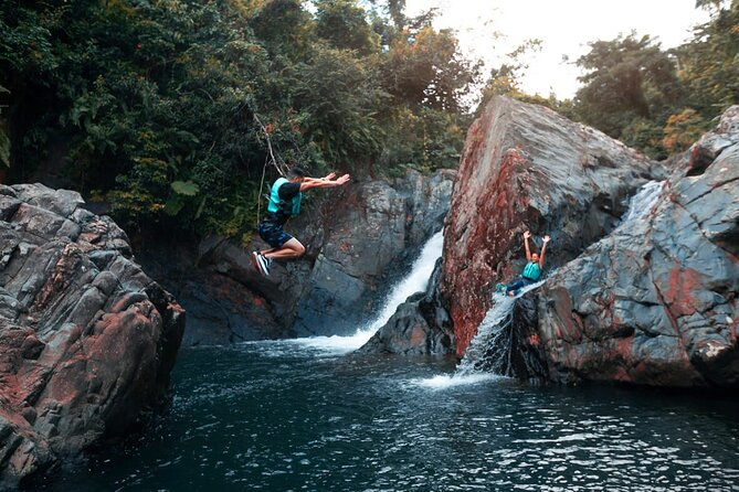 Puerto Rico El Yunque Rainforest with Transportation - Key Things to Know Before You Book