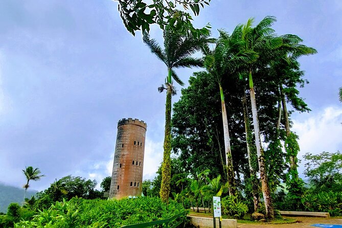Puerto Rico: El Yunque Sightseeing Half-Day Tour w/Transfer - Key things to know before you book