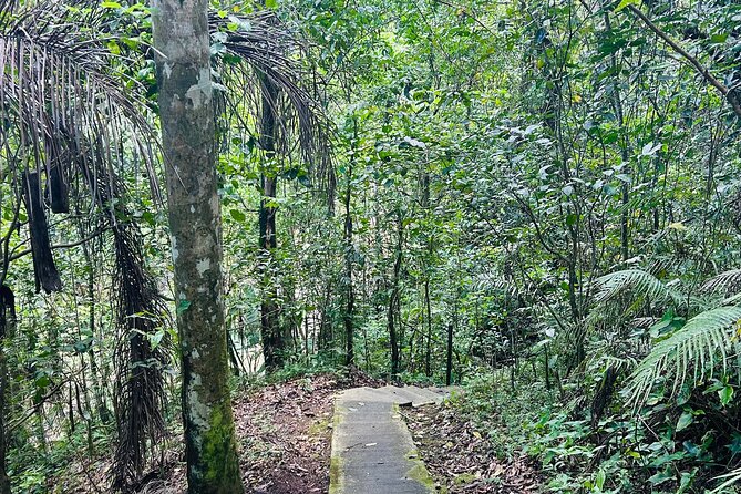 Puerto Rico Hiking Adventure Nature History and Coastal Views - Lunch and transportation matter here
