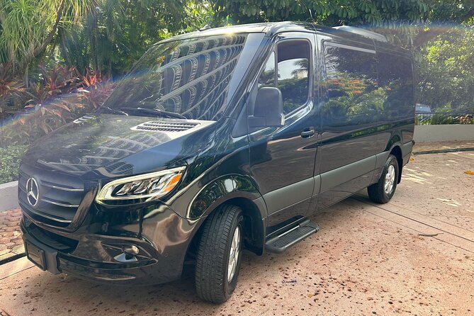 Puerto Rico Island Wide Private Transfers, 11Pax Lux Sprinter Van - Meeting Your Chauffeur At The Airport