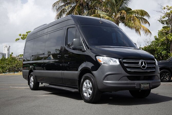 Puerto Rico Island Wide Private Transfers, 14Pax Lux Sprinter Van - Who should book this transfer?
