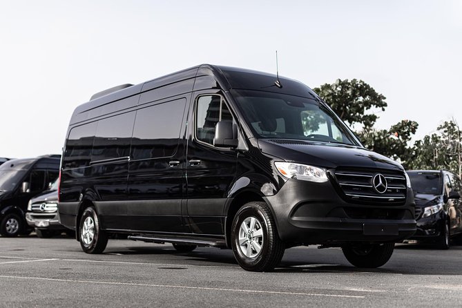 Puerto Rico Island Wide Private Transfers, 14Pax Lux Sprinter Van - Airport pickup: what happens after you land