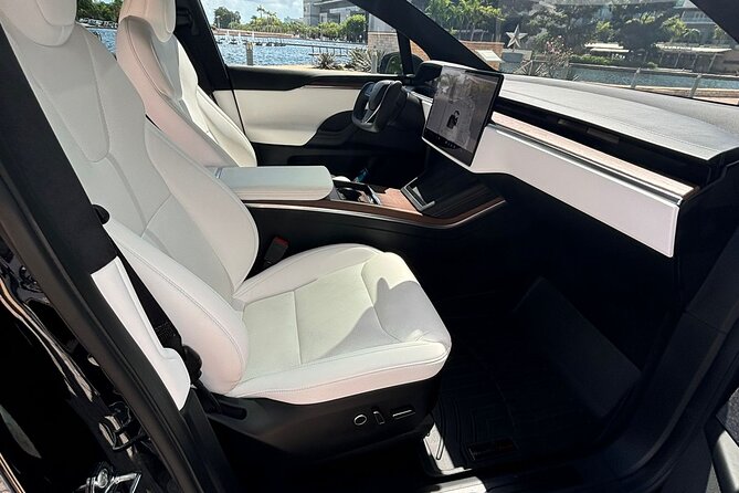 Puerto Rico Island Wide Transfer, Tesla Model X Luxury SUV. - Who should book this transfer?