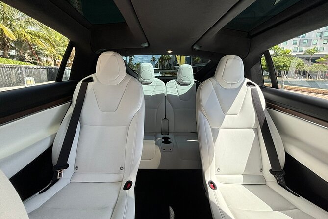 Puerto Rico Island Wide Transfer, Tesla Model X Luxury SUV. - Cruise port, hotel, and Airbnb pickup