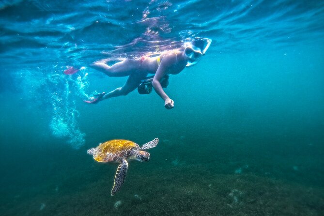 Puerto Rico Jet Snorkel with Turtles and Videos in San Juan - Why this San Juan snorkel feels different