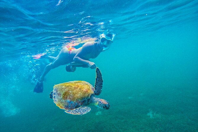 Puerto Rico Jet Snorkel with Turtles and Videos in San Juan - Learning to use the jet snorkel
