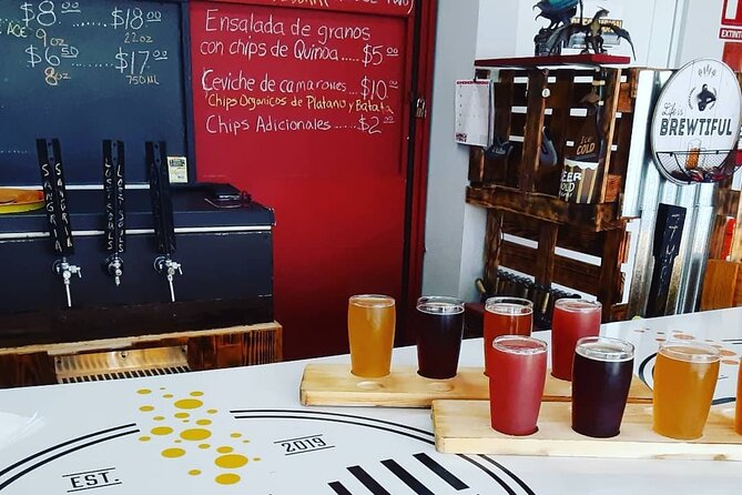 Puerto Rico's First and Only Craft Beer Brewery Tour! - What you will taste and learn