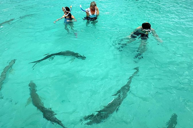 Puerto Rico's Only Private, VIP & Filmed Bio Bay Swim Experience - A private boat changes the experience