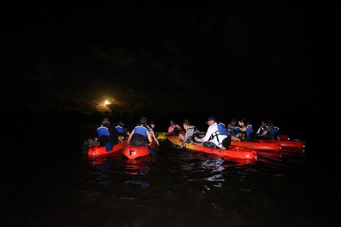 Puerto Rico Sunset Magic: Bio Bay Kayaking Tour from Fajardo - What makes Laguna Grande worth seeing
