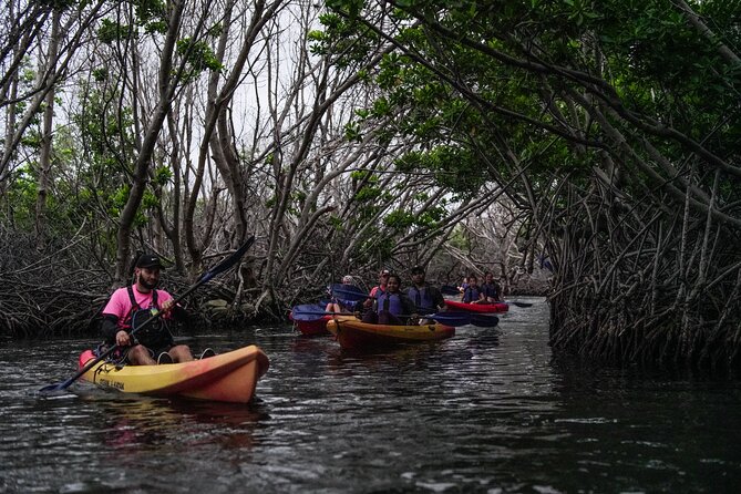 Puerto Rico Sunset Magic: Bio Bay Kayaking Tour from Fajardo - Why the marine biologist guide matters