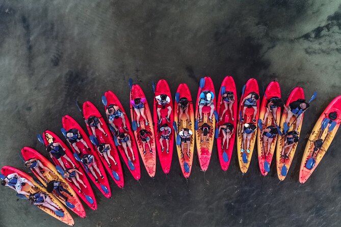 Puerto Rico Sunset Magic: Bio Bay Kayaking Tour from Fajardo - Who can handle this kayak tour?