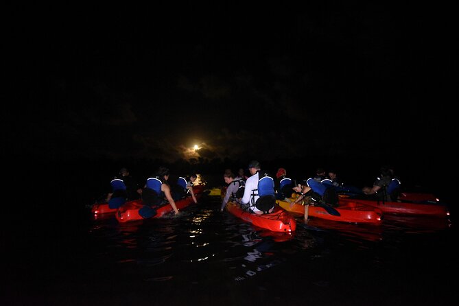 Puerto Rico Sunset Magic: Bio Bay Kayaking Tour from Fajardo - Is $66.90 a fair price?