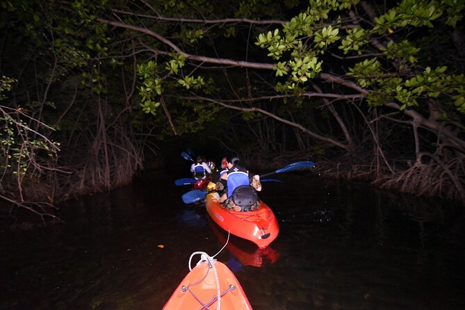 Puerto Rico Sunset Magic: Bio Bay Kayaking Tour from Fajardo - Booking, cancellation, and timing tips