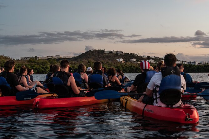 Puerto Rico Sunset Magic: Bio Bay Kayaking Tour from Fajardo - The sunset paddle through the mangrove canal
