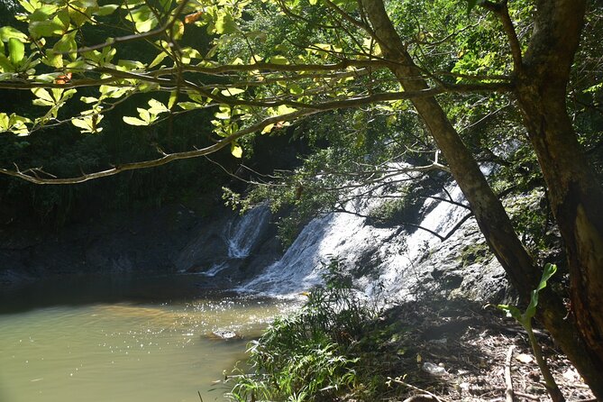 Puerto Rico Waterfall Hiking Tour: Discover Hidden Gems 2.0 - Six things to know before you go