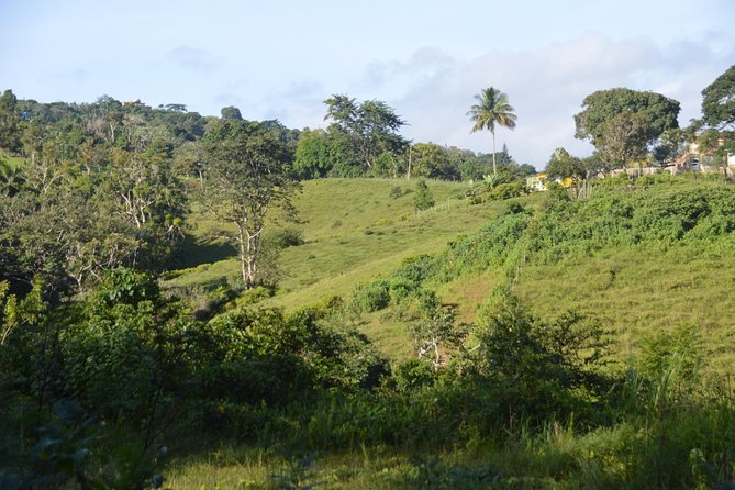 Puerto Rico Waterfall Hiking Tour: Discover Hidden Gems 2.0 - A real mountain hike, not a paved park stroll