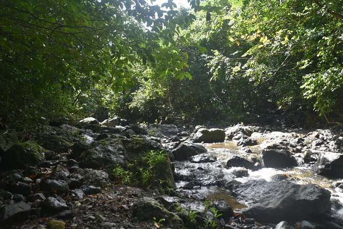 Puerto Rico Waterfall Hiking Tour: Discover Hidden Gems 2.0 - Why the guides make such a difference