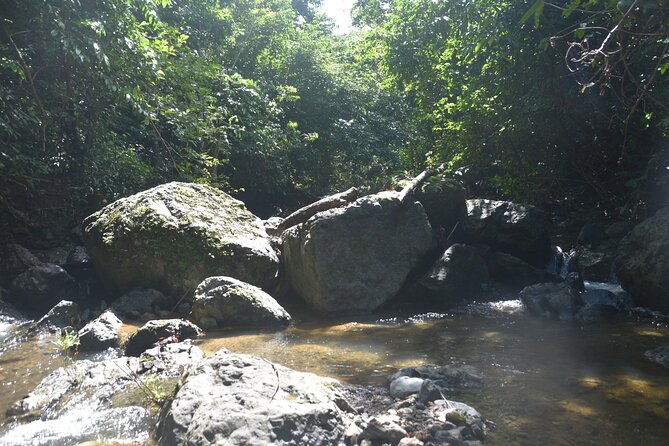 Puerto Rico Waterfall Hiking Tour: Discover Hidden Gems 2.0 - Is $80 a good price?