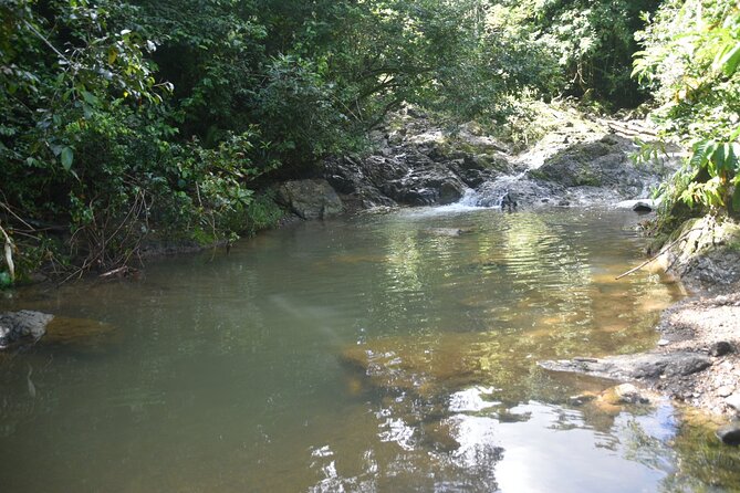 Puerto Rico Waterfall Hiking Tour: Discover Hidden Gems 2.0 - The best parts, and the fair warnings