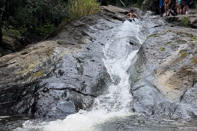 Rainforest Adventure All inclusive Food and Fotos - Timing, transportation, and group size