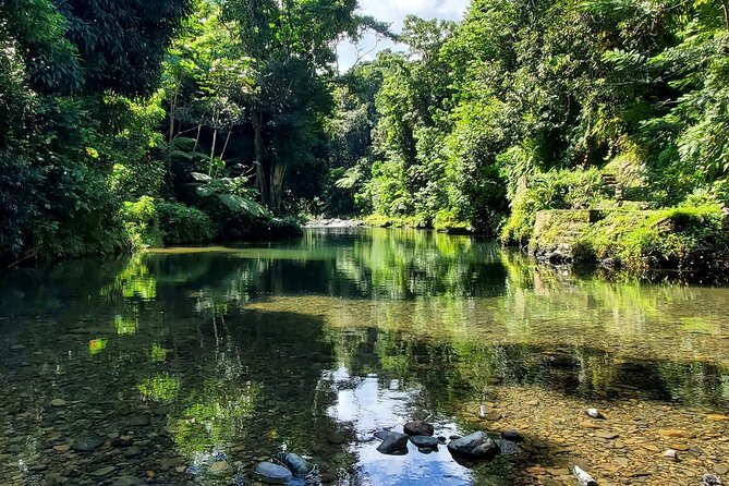 Rainforest and Junglequi Zipline Combo Tour - From the Marriott to the Rainforest