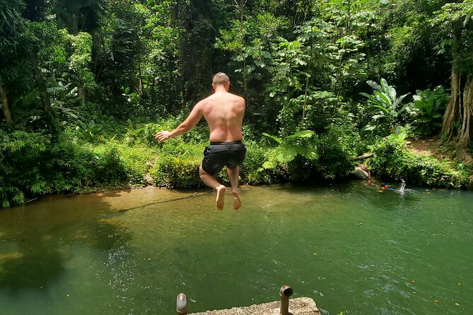 Rainforest and Junglequi Zipline Combo Tour - What the Zipline Course Feels Like