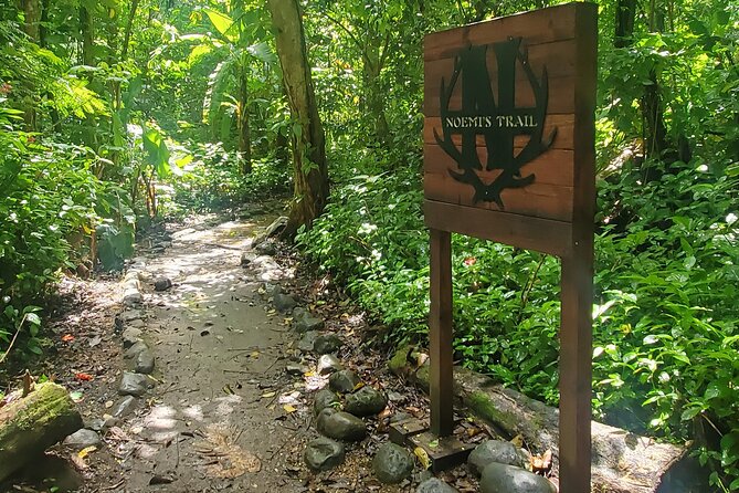 Rainforest and Junglequi Zipline Combo Tour - Who Will Enjoy This Day Most?