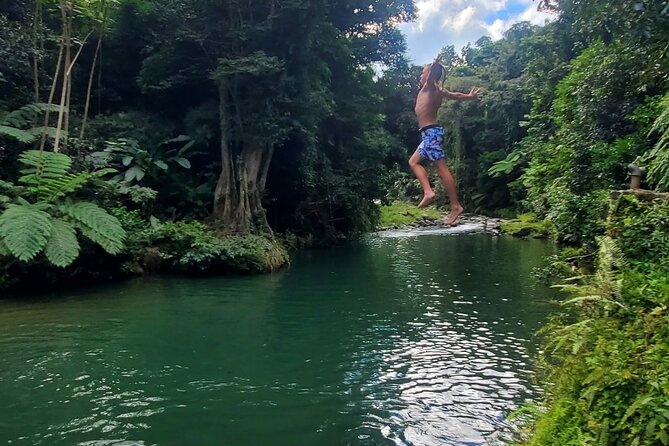 Rainforest and Junglequi Zipline Combo Tour - Weather, Cancellation, and Useful Planning Notes