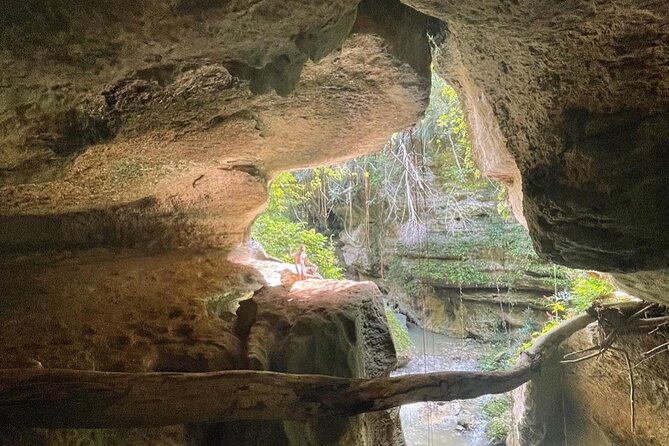 Rainforest Caves and Waterfalls Exploration with Transportation - Why the guides matter so much