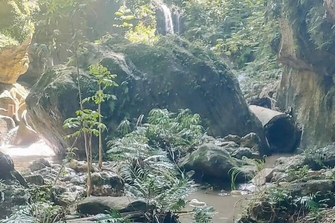 Rainforest Caves and Waterfalls Exploration with Transportation - What the $110 price really covers