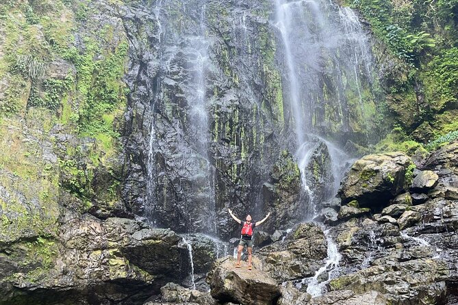 Rainforest Hike to Hidden Waterfall in Puerto Rico with Transport - The roughly two-hour walk through tropical forest