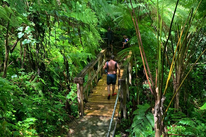 Rainforest Nature Walk & Luquillo Beach Combo - Who will enjoy this outing most?