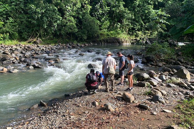 Rainforest River Nature Walk Adventure and Luquillo Beach - Yokahu Tower and the four forest types