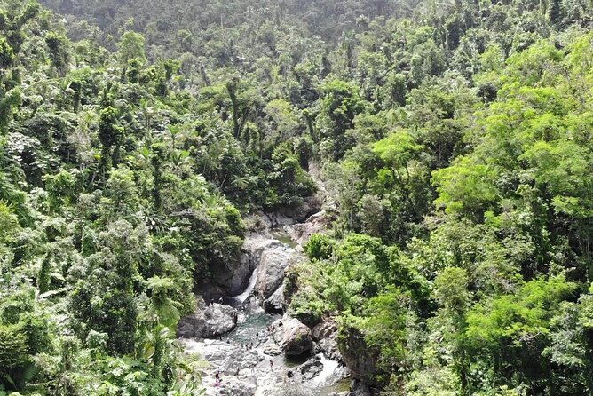 Rainforest River Nature Walk Adventure and Luquillo Beach - Is $79 a fair price?