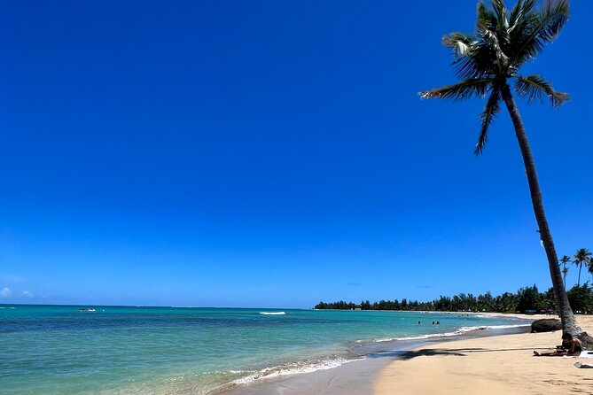 Rainforest Waterfall Slides/Adult Drinks included/ Beach - Five things to know before you book