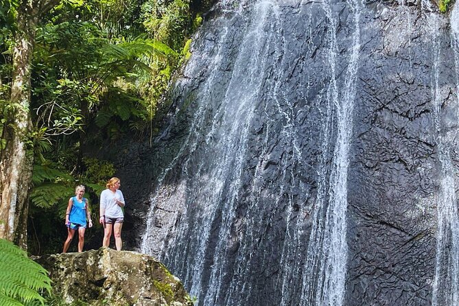Rainforest Waterslide and Riverpool Beach Tour in Puerto Rico - Who should book this outing?