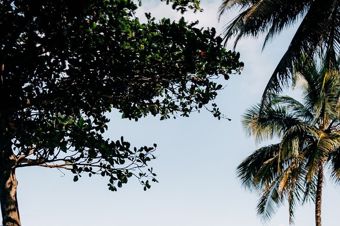 Rainforest Waterslide and Riverpool Beach Tour in Puerto Rico - Las Pailas: rainforest trails and a natural waterslide