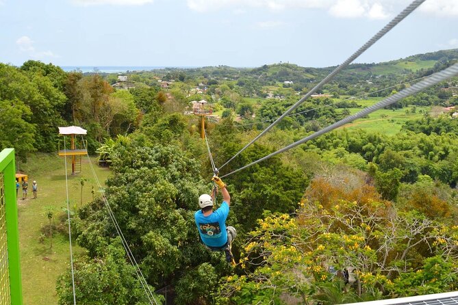 Rainforest Zipline in Foothills of the National Rainforest - Key Points Before You Book