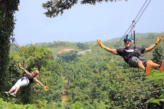 Rainforest Zipline in Foothills of the National Rainforest - Arriving at Road 191 in Río Grande