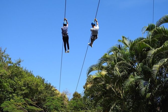 Rainforest Zipline in Foothills of the National Rainforest - The Final Two Lines Deliver the Payoff