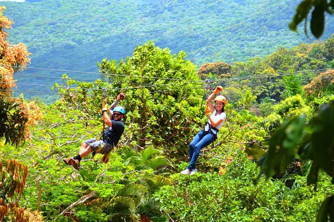 Rainforest Zipline in Foothills of the National Rainforest - How Long the Experience Really Feels