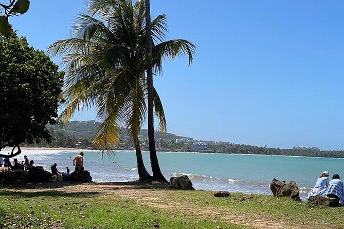 Rainforest Zipline, Luquillo Beach, and Natural Springs Day Trip - Guides are the key to the experience